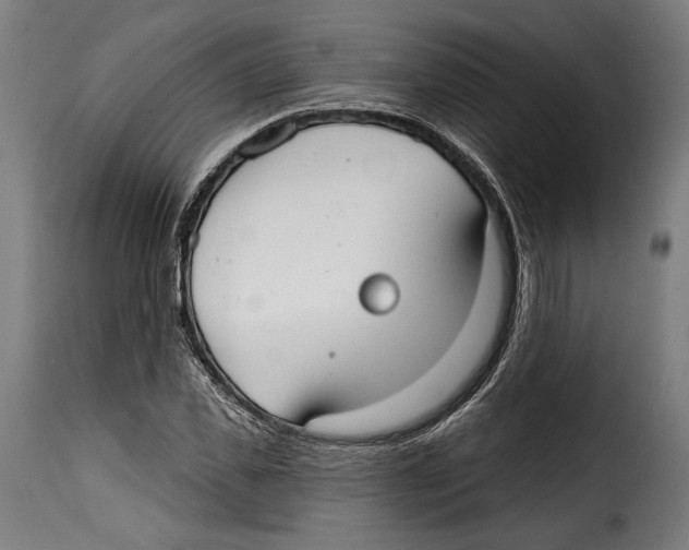 X0000114990925200911231138