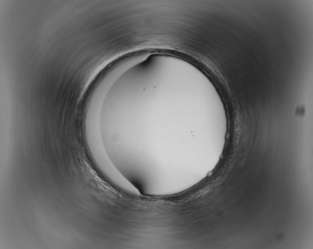 X0000114990926200911231138