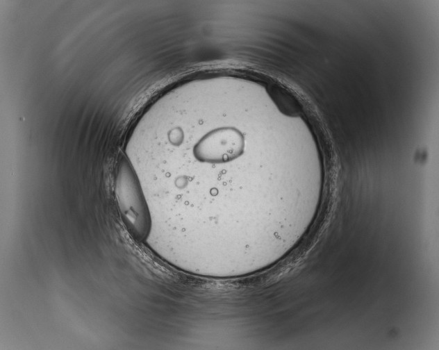 X0000114990929200911231138