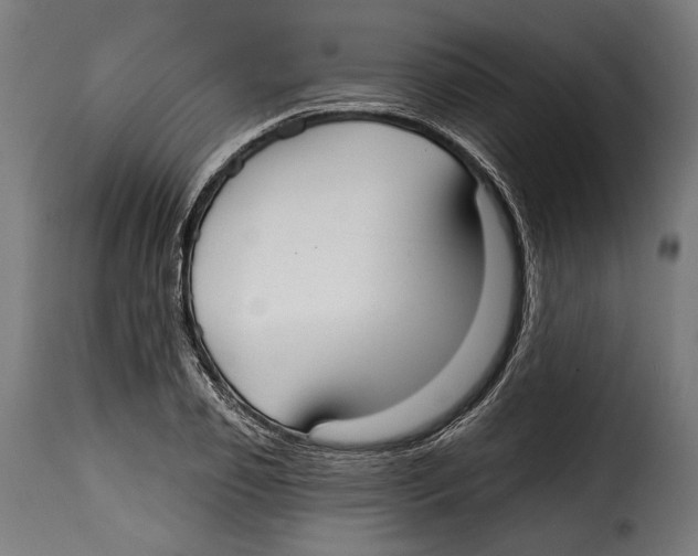 X0000114990933200911231138