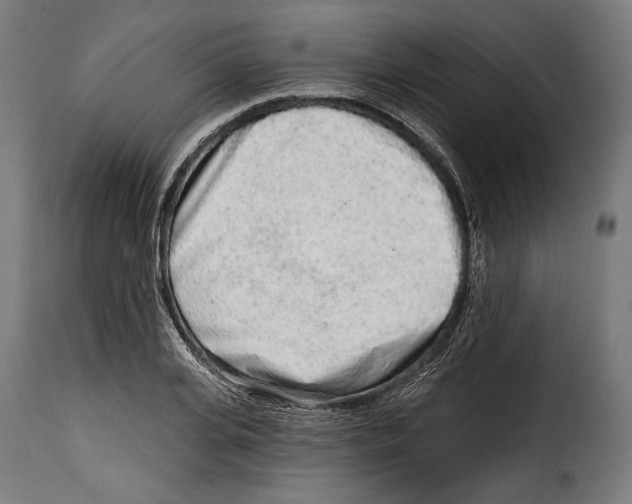 X0000114990935200911231138