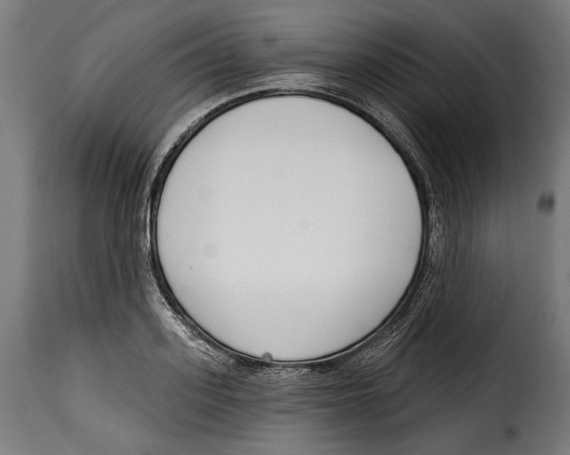 X0000114990939200911231138