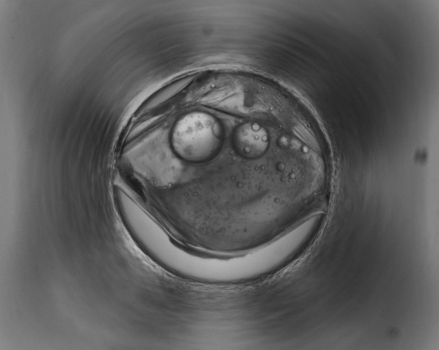 X0000114990941200911231138