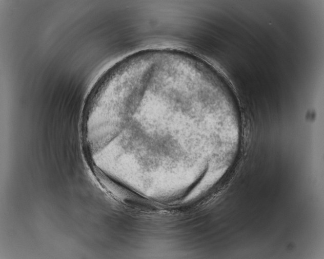 X0000114990943200911231138