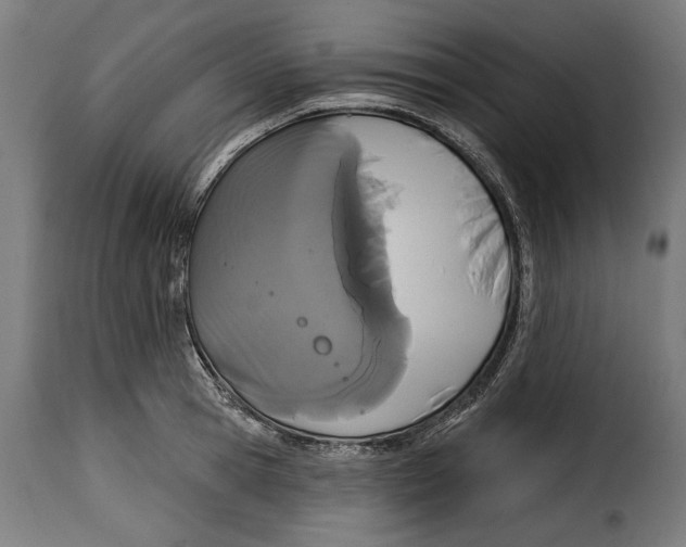 X0000114990945200911231138