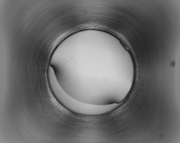 X0000114990946200911231138