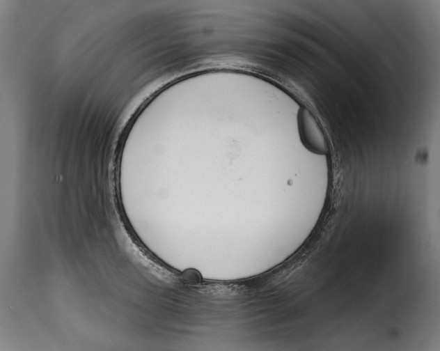 X0000114990947200911231138