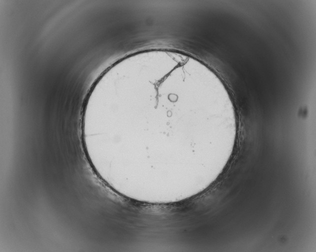 X0000114990950200911231138