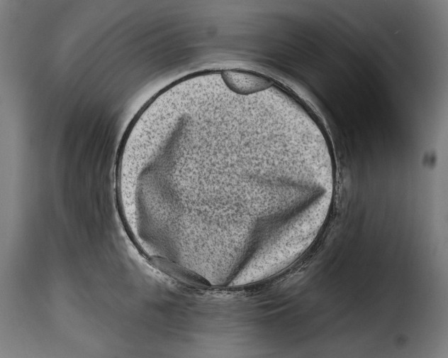 X0000114990951200911231139