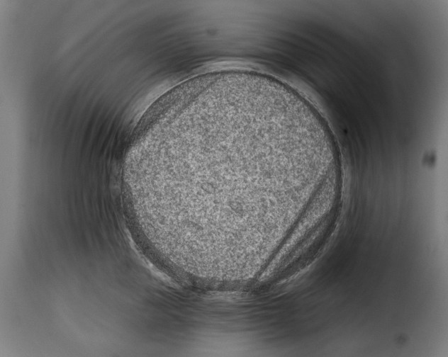 X0000114990953200911231139