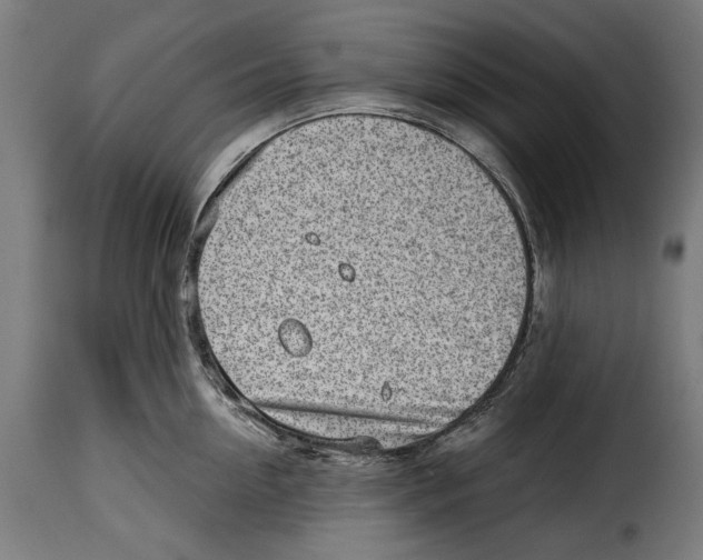 X0000114990954200911231139