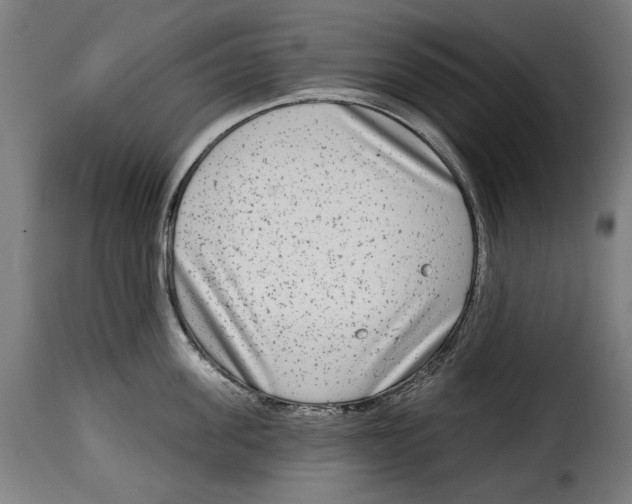 X0000114990955200911231139