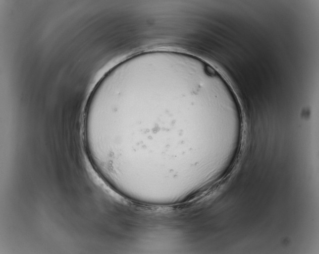 X0000114990957200911231139