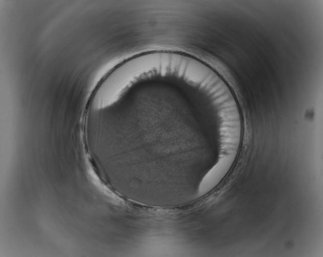 X0000114990958200911231139