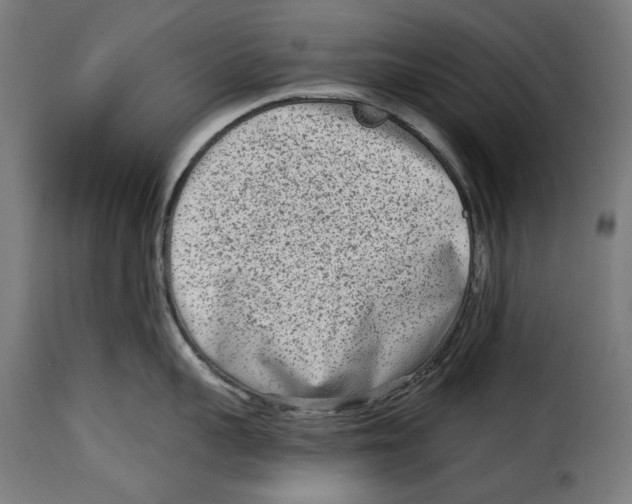 X0000114990959200911231139