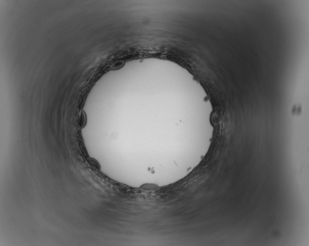 X0000114990961200911231138