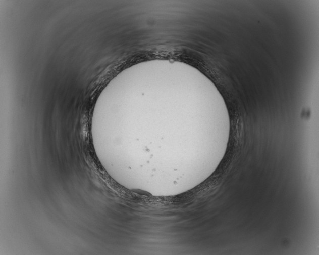 X0000114990962200911231138