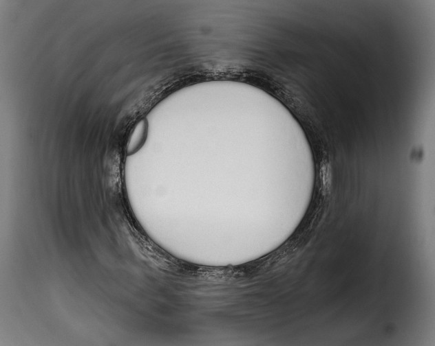 X0000114990963200911231138