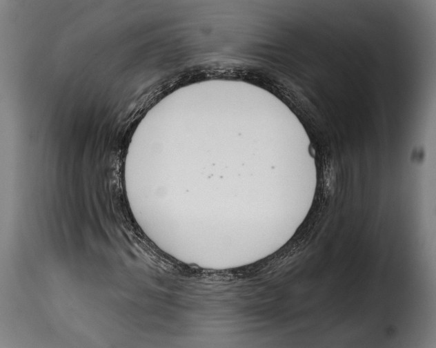 X0000114990964200911231138