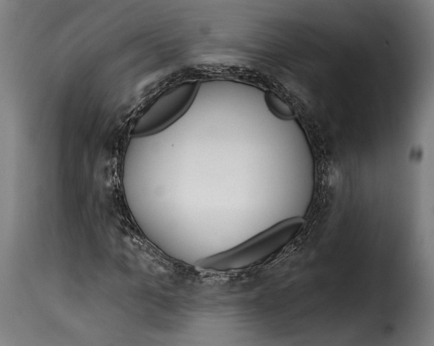 X0000114990965200911231138