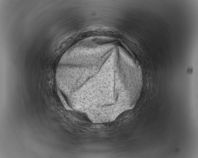 X0000114990966200911231138