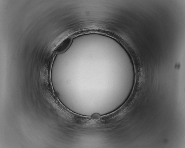 X0000114990969200911231138