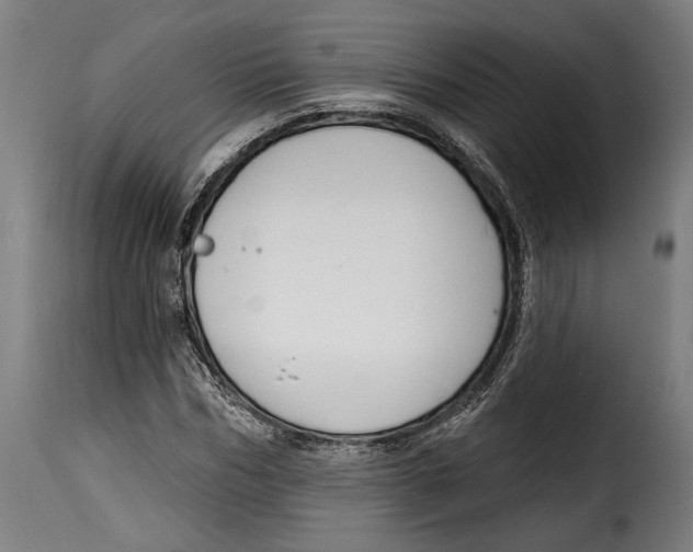 X0000114990970200911231138