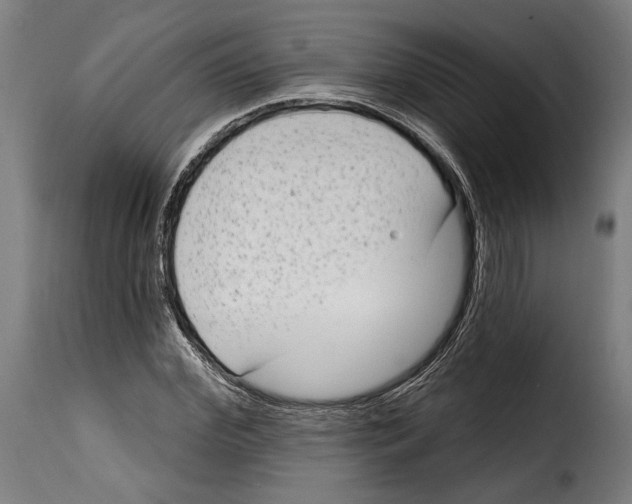 X0000114990972200911231138