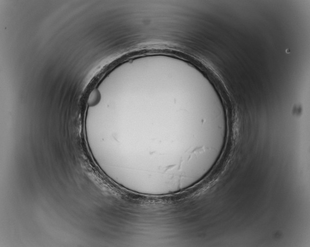 X0000114990973200911231138