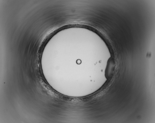 X0000114990974200911231138