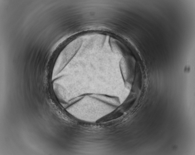 X0000114990975200911231138