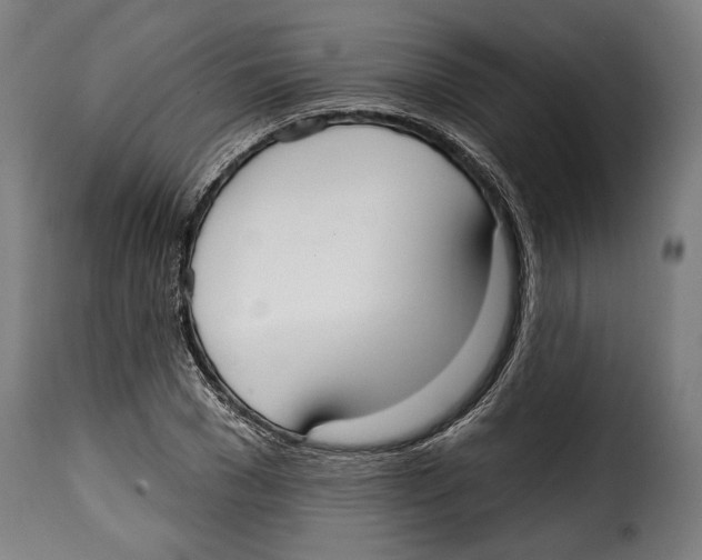 X0000114990977200911231138