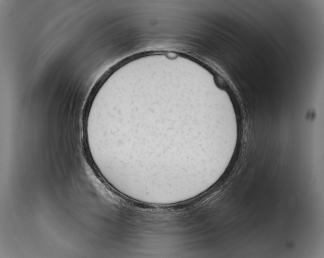 X0000114990980200911231138