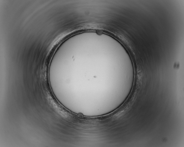 X0000114990981200911231138