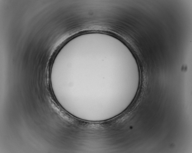 X0000114990982200911231138