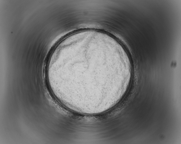 X0000114990983200911231138