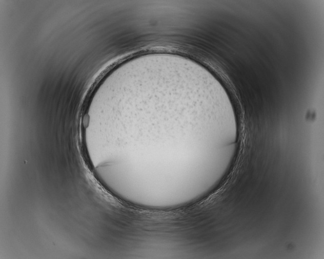 X0000114990984200911231137