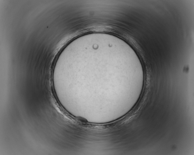 X0000114990986200911231137