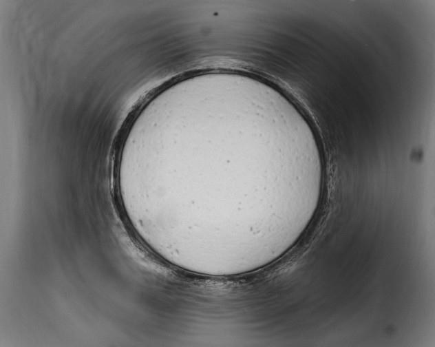 X0000114990987200911231137