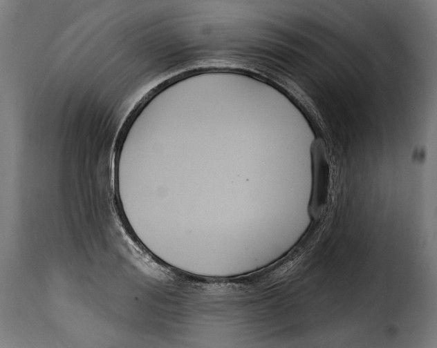 X0000114990988200911231137