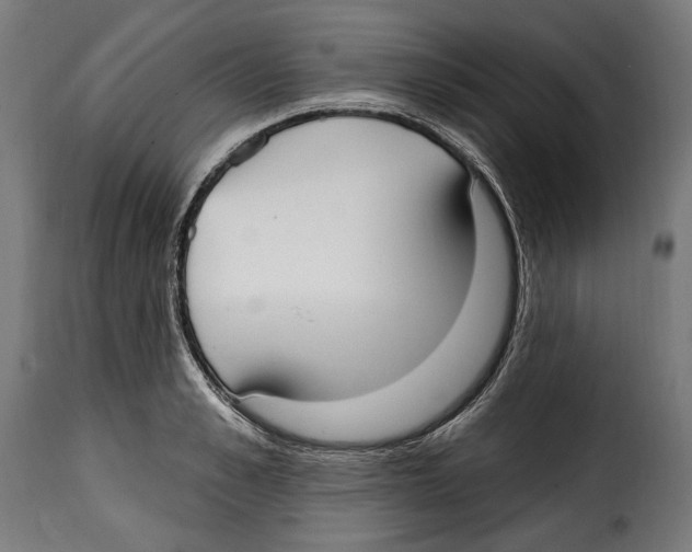 X0000114990989200911231137