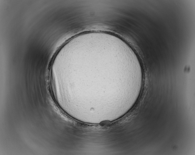 X0000114990990200911231137