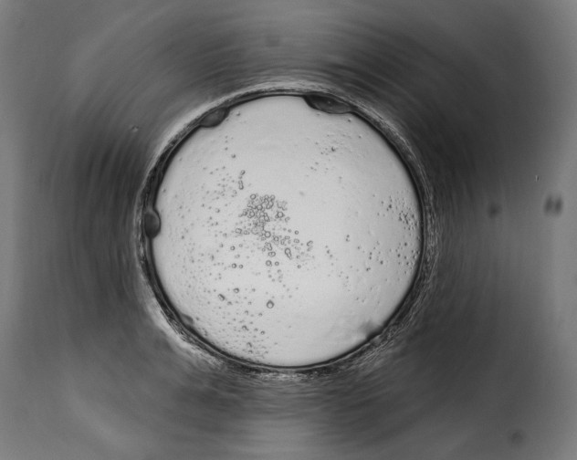 X0000114990991200911231137