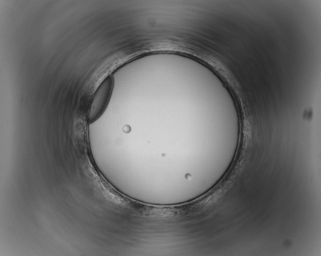 X0000114990993200911231137