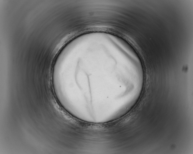 X0000114990994200911231137