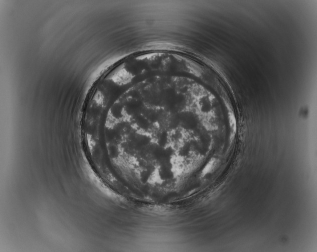 X0000114990995200911231137