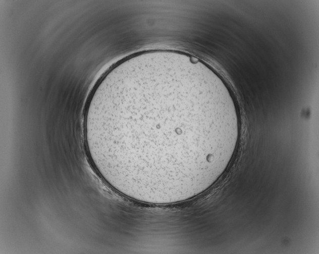 X0000114990996200911231137