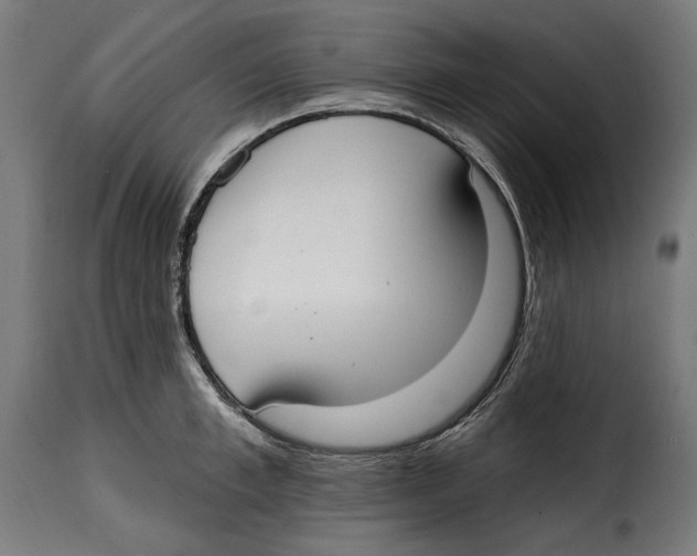 X0000114990997200911231137