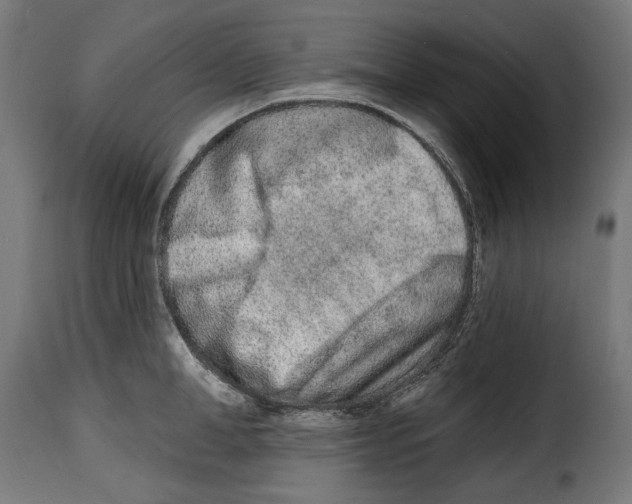 X0000114990998200911231137