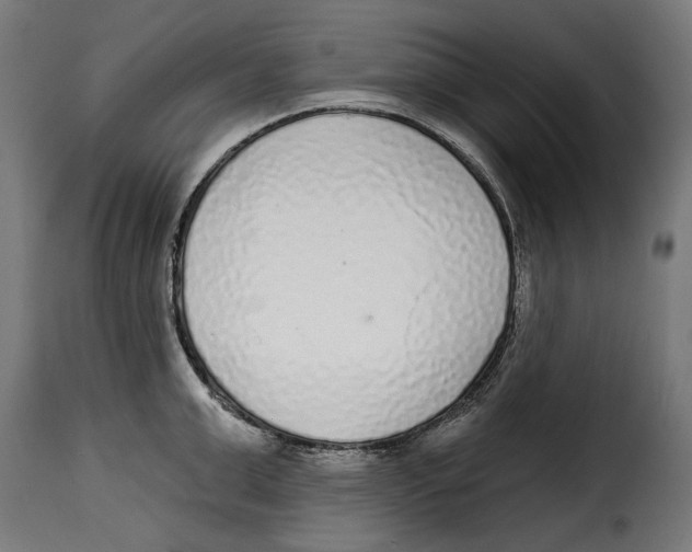 X0000114990999200911231137